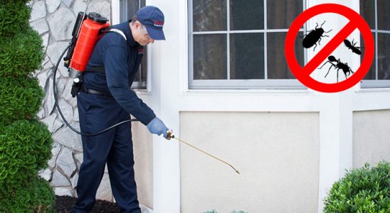 Uzundere Gümüşkurt İlaçlama böcek ilaçlama ve haşere kontrolü — ilaclama-tr.com